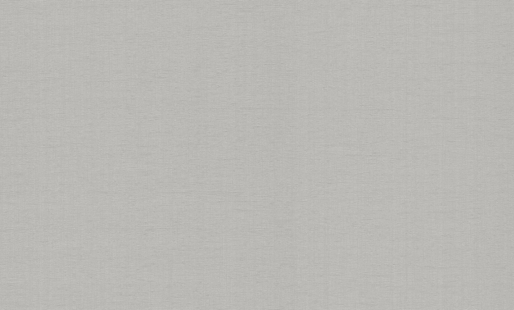 Шпалери вінілові на флізеліновій основі PROfhome РН 101 Р 06 1,06x10,05 м