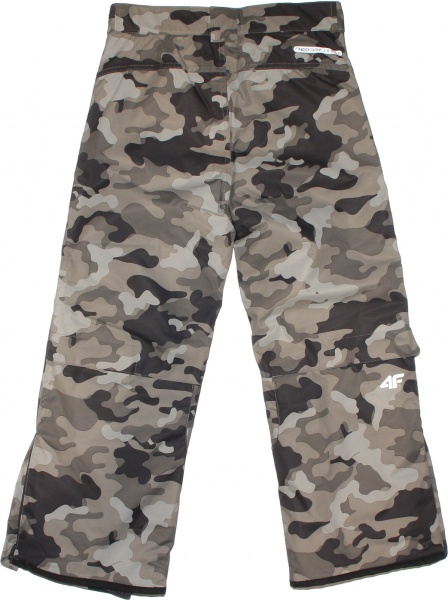 Брюки 4F HJZ20-JSPMNS001-90S р. 146 разноцветный