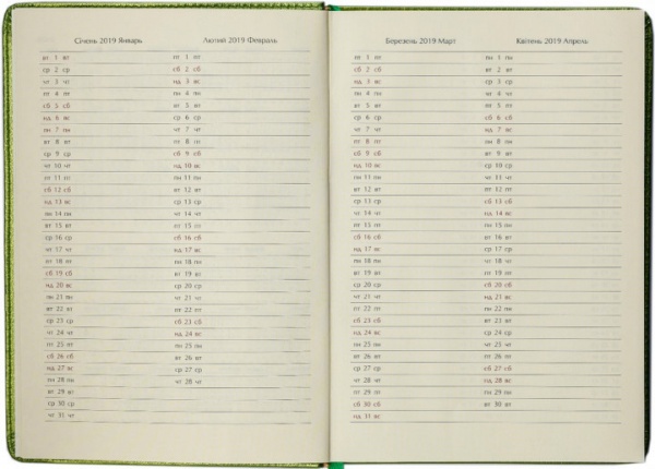 Щоденник датований коричневий лінія Buromax Profy A5 2019 BM.2181-04