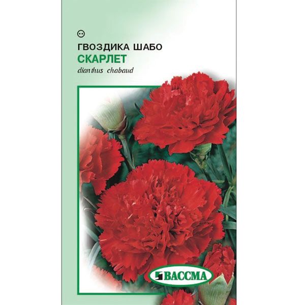 Семена Цветы Гвоздика Шабо Скарлет 0.2 г