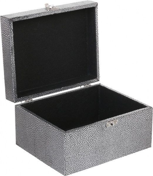 Шкатулка для украшений Moon dust 20x16x11 см XB17475-B