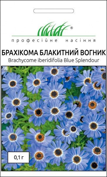 Семена Професійне насіння брахикома Голубой огонек 0,1 г
