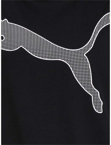 Футболка Puma EVOSTRIPE Tee 58352901 р.S чорний