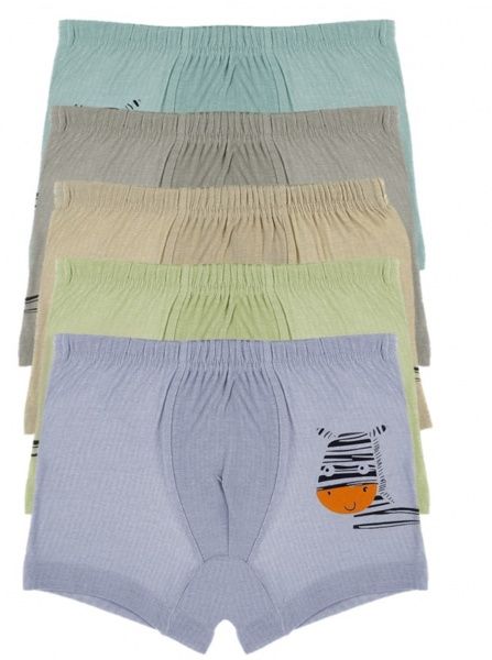 Труси для хлопчика DONI 75752CZ р.110-116 в асортименті 