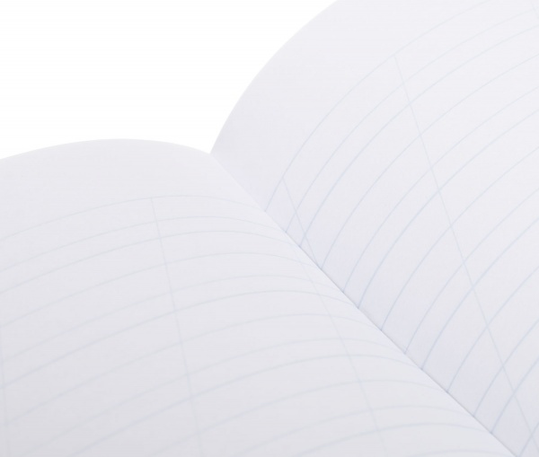 Тетрадь школьная Tadward коса