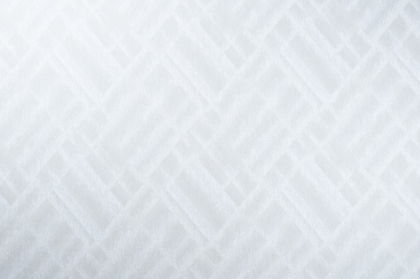 Обои виниловые на флизелиновой основе Vinil Шерли стена ДХС-1582/2 1,06x10,05 м 