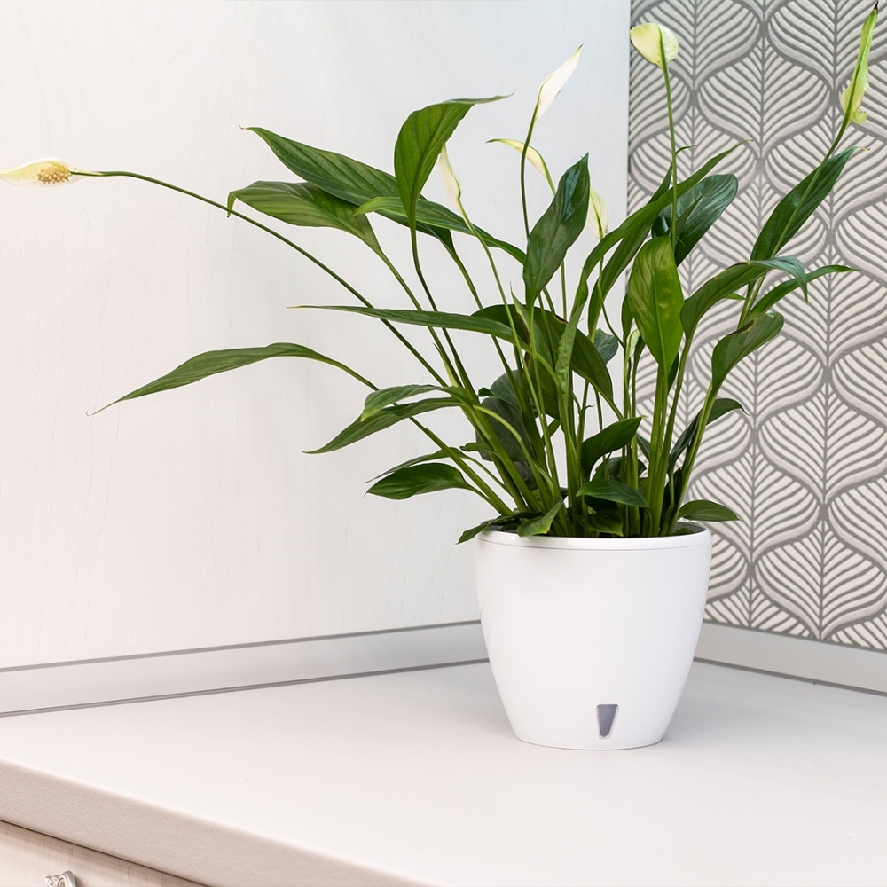 Вазон пластик Deco Twin круглий білий глянець 2,5 л Santino (2008923)