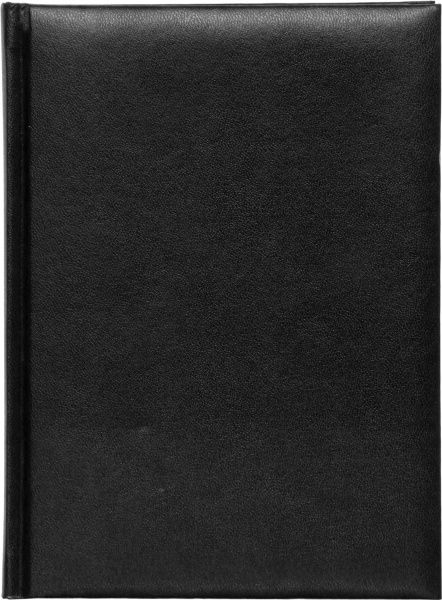 Дневник Expert A5 288 л черный Buromax