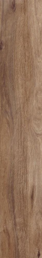 Плитка Allore Group Tahoe Gold F PR R Mat 19,8х120 см