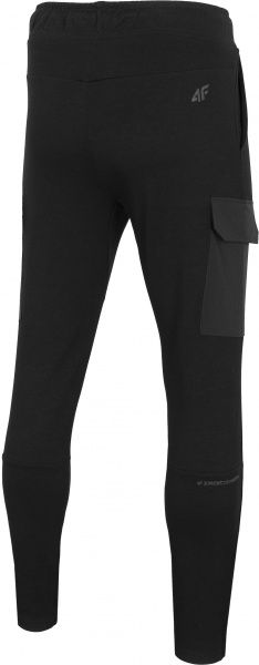 Штани 4F D4Z20-SPMD201-20S р. 2XL чорний