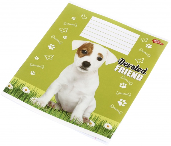 Зошит шкільний уф-лак 12 аркушів у клітинку в асортименті Мрії збуваються