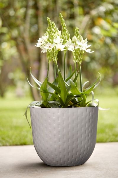 Кашпо пластикове Elho Fuente Grains 480462 круглий 26 л сірий 