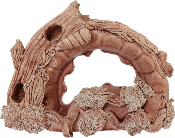 Декорация  Арка 83