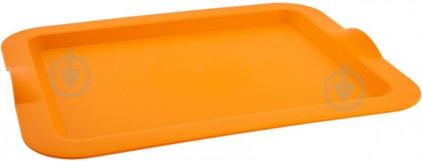 Поднос для холодной пищи (21653)