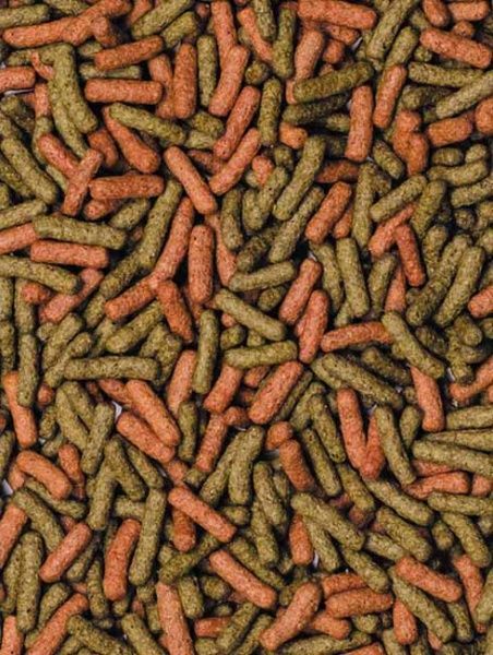 Корм Природа для черепах Биовит Черепашки 10 г