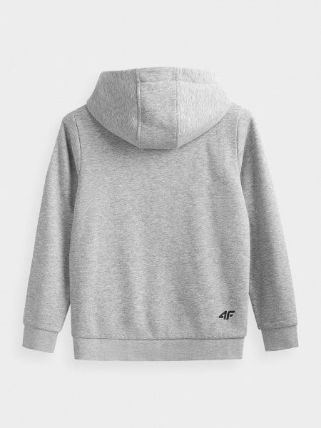 Джемпер 4F NOSDJ-JBLM300-27M р. 164 сірий