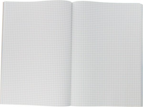 Тетрадь школьная 96 листов в клетку 459449 Тетрада