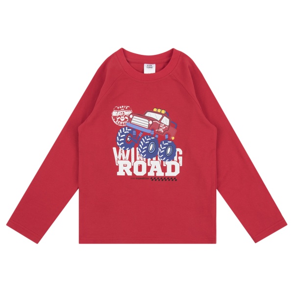 Джемпер для хлопчика Funtime р.110 червоний 