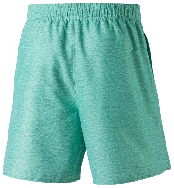 Шорти Firefly EFCT3 Manny ux 285639-662 р. XS м'ятний