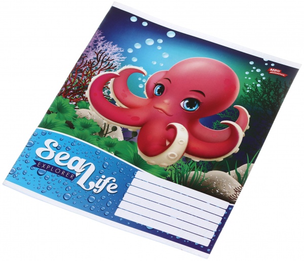 Зошит шкільний уф-лак 12 аркушів у клітинку в асортименті Мрії збуваються