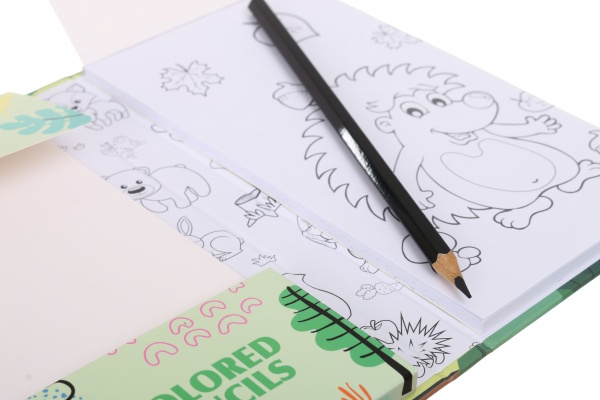 Набор раскраска Forest Friends и карандаши цветные 10 шт 