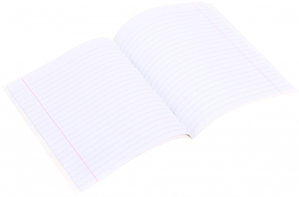 Тетрадь школьная 24 листа в линейку в ассортименте Мечты сбываются