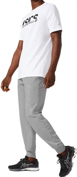 Брюки Asics ASICS BIG LOGO SWEAT PANT 2031A977-026 р. S серый