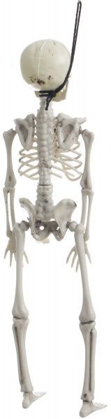 Декорація скелет 42 см