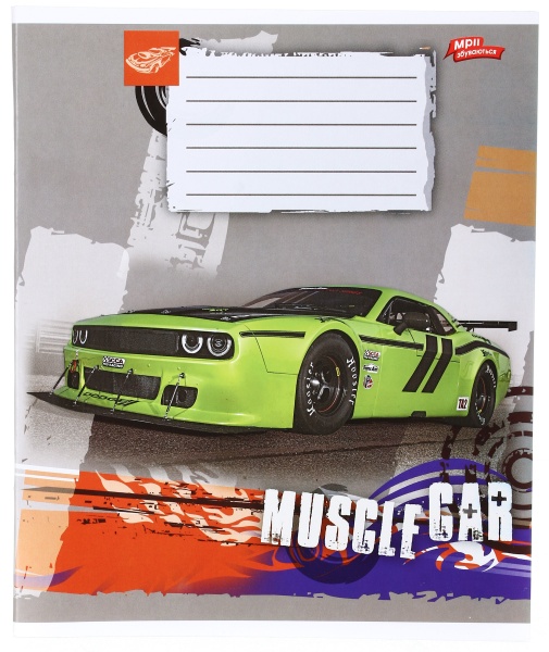 Тетрадь школьная уф-лак 48 листов в клеточку в ассортименте Мечты сбываются