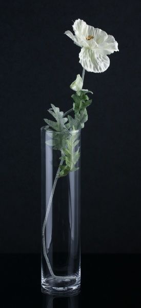 Ваза стеклянная прозрачная 10х40 см Wrzesniak Glassworks