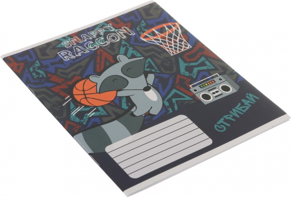 Тетрадь школьная Raccoon 18 листов в линию