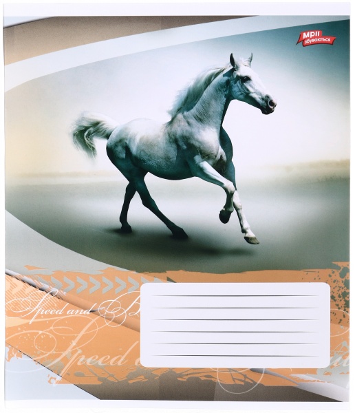 Тетрадь школьная 24 листа в линейку в ассортименте Мечты сбываются