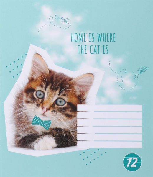 Зошит шкільний Cat 12 аркушів лінія 2 Мрії збуваються