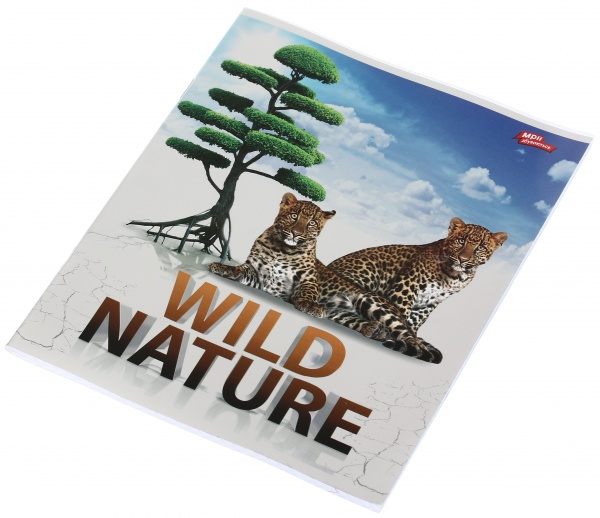 Тетрадь школьная серебро 4 листов в клеточку в ассортименте Мечты сбываются