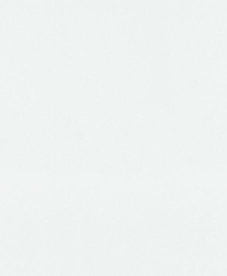 Шпалери вінілові на флізеліновій основі Erismann Fashion For Walls 2 12035-01 1,06x10,05 м 