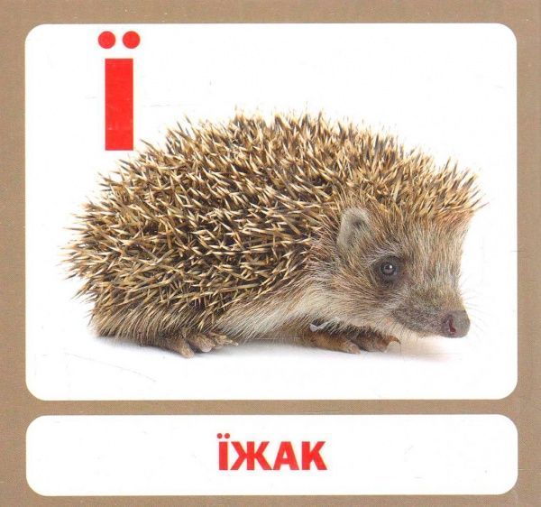 Книга «Навчальний посібник. Абетка»