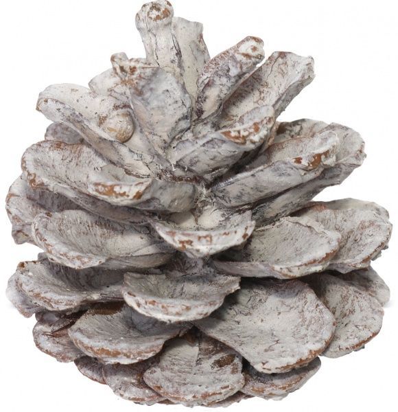 Набір шишок натуральні білі E5156411-W1G 15 шт./уп. 