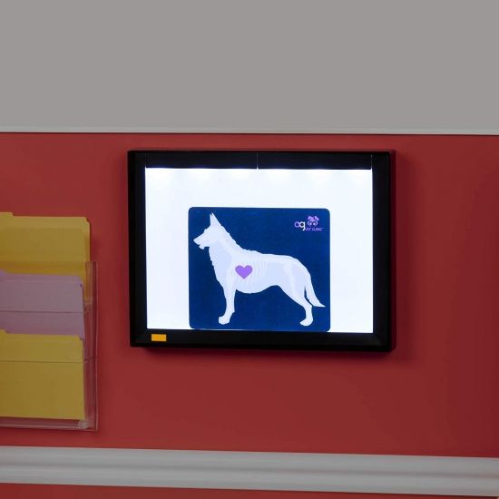 Игровой набор Our Generation Ветеринарная клиника BD37965Z