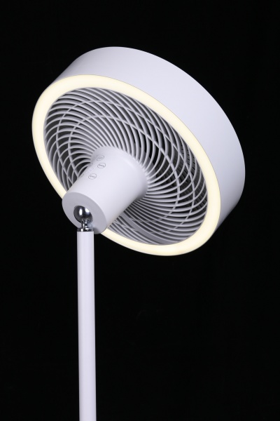 Вентилятор напольный с подсветкой DW-FS99 (10 Вт)