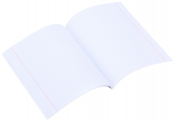 Тетрадь школьная серебро 4 листов в клеточку в ассортименте Мечты сбываются