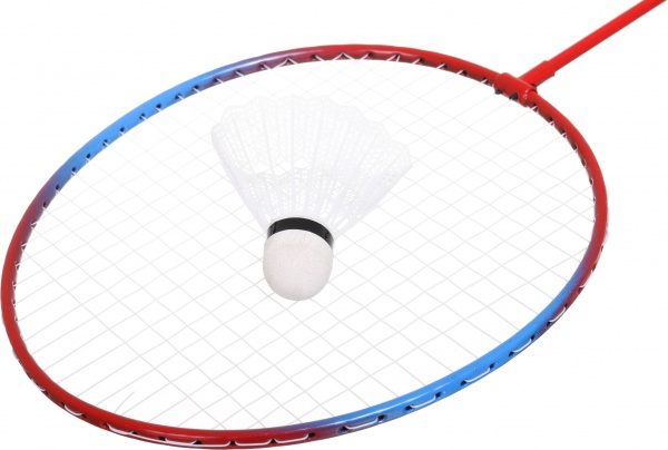 Набор для бадминтона MS 0752