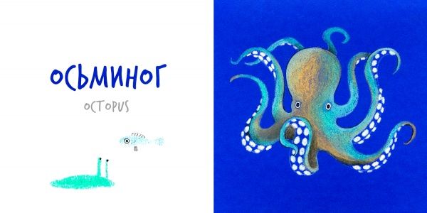 Книга «Книга. Морские Животные (РУС)» 9786177395149