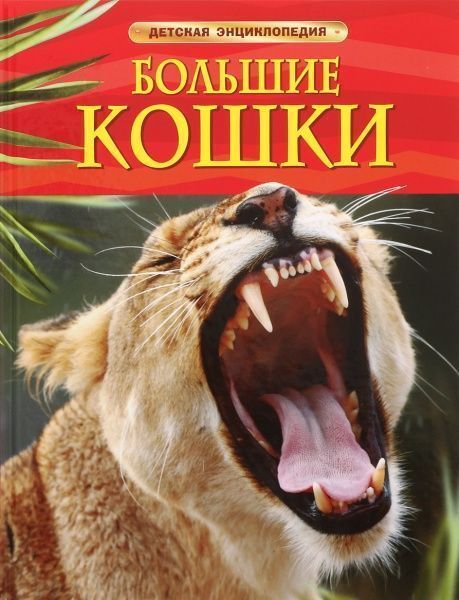 Книга «Большие кошки» 978-966-462-718-1