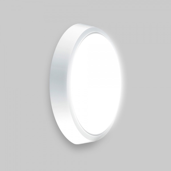 Світильник настінно-стельовий Luminaria 20 Вт білий 5500 К DLR 20W 