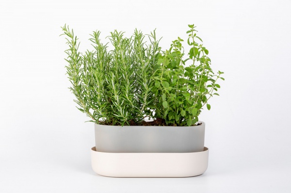 Вазон пластиковий Plastia з піддоном Tolita 30,5 см круглий 3,2 л бежевий (1909783040) 