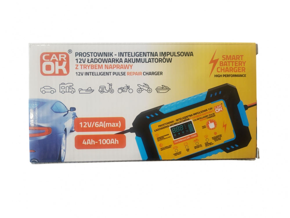 Автомобильное зарядное устройство 6 А 100 А/год (005PRO7909)