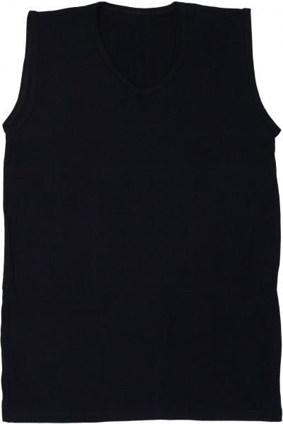 Майка чоловіча RUPA р. L сірий 194-1001 