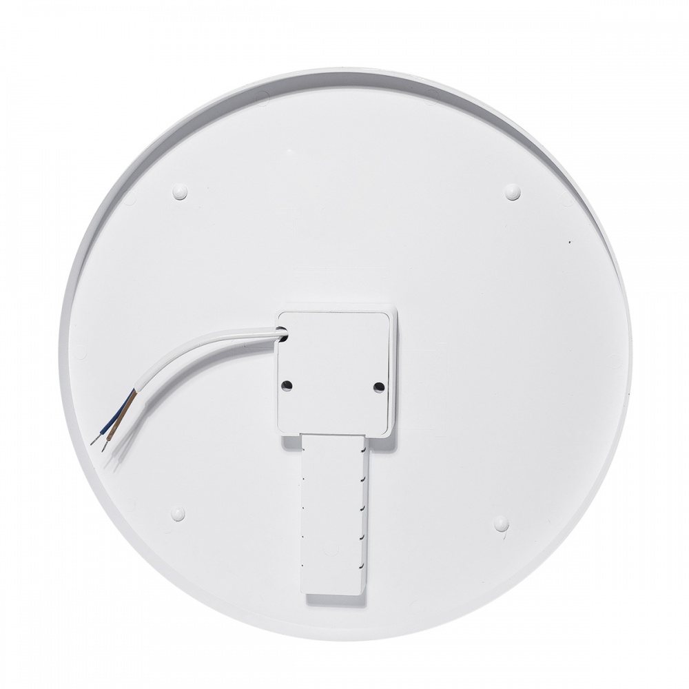 Світильник стельовий LIGHT SET DRAGOBRAT LS 24 Вт білий 4500 К