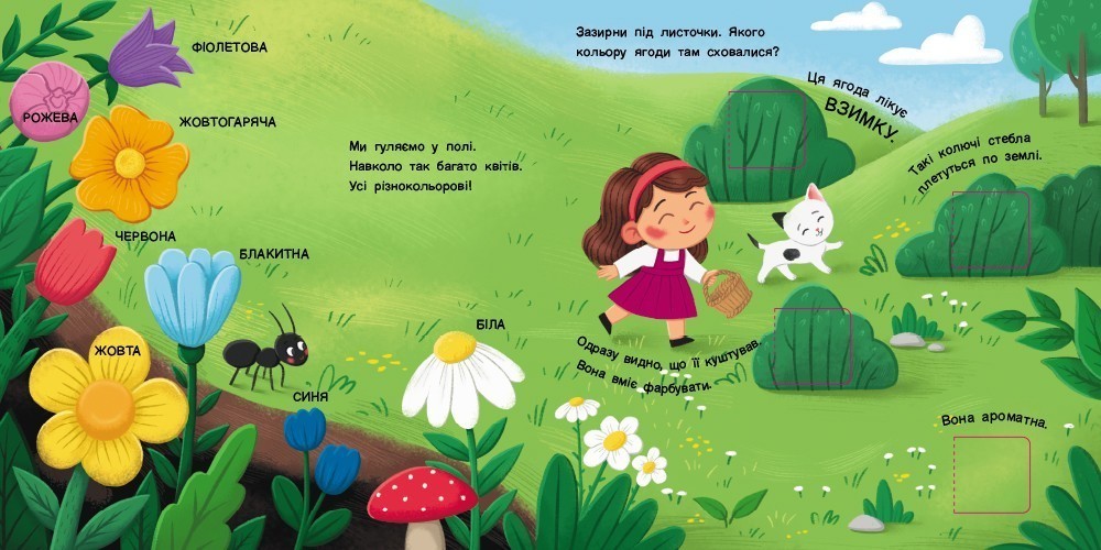 Книга Наталія Коваль «Книжка для малечі: Якого кольору?» 978-617-09-9716-6