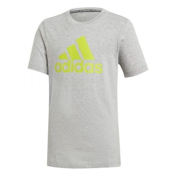 Футболка Adidas YB MH BOS T GE0685 158 сірий